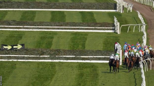 Horses in the 2023 Grand National bypassed the first fence on their second circuit after Hill Sixteen died during the race