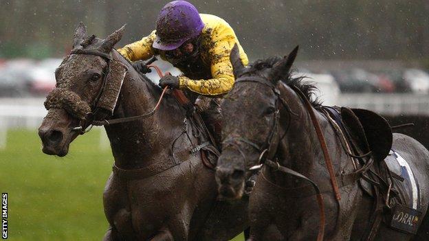 Kerry Lee Rookie Trainer Targets A Dream Grand National Win Bbc Sport