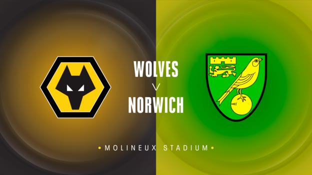 Wolves v Norwich