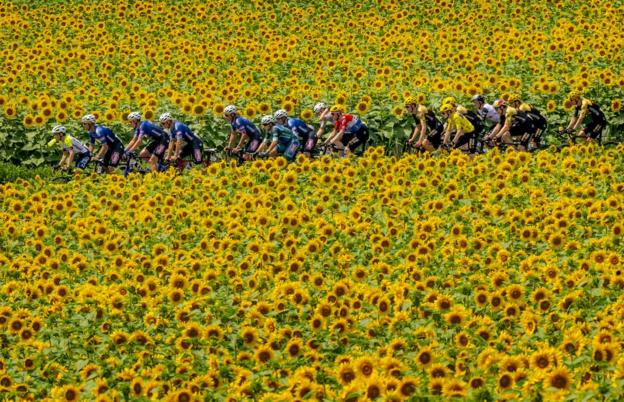 Jonas Vingegaard and the peloton on stage eight of the Tour de France from Libourne to Limoges