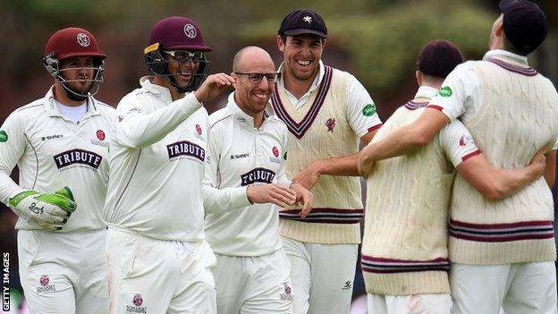 Somerset celebrate a wicket