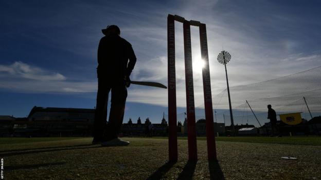 Cricket