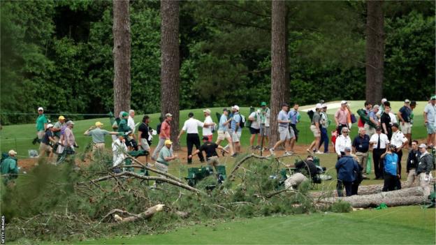 Trees fall at Augusta
