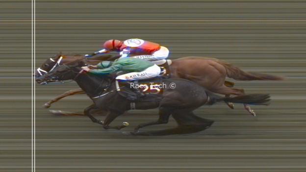 Crimson Advocate (far side) just beat Relief Rally in a photo finish