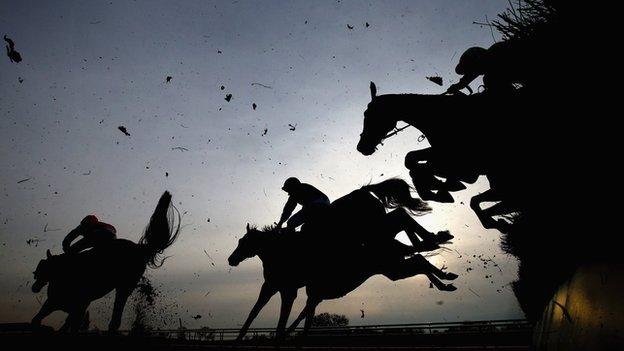 Horses at Southwell racecourse