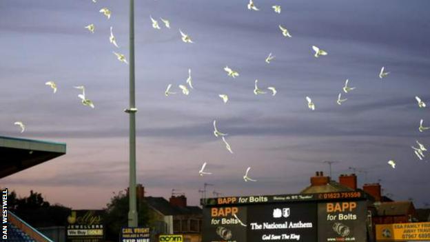 Mansfield Town release 96 doves as a tribute to Queen Elizabeth II