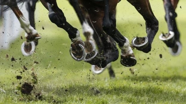 Prize money warning after £17m levy funding shortfall in horse racing ...