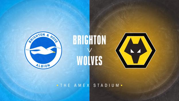 Brighton v Wolves