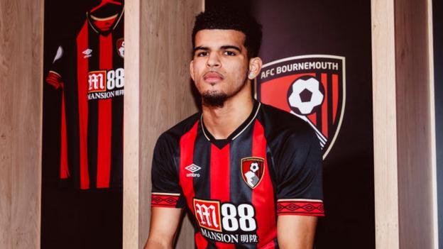 Hasil gambar untuk solanke bournemouth