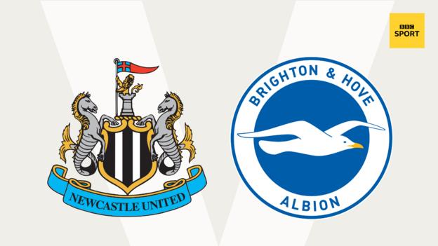 Newcastle v Brighton