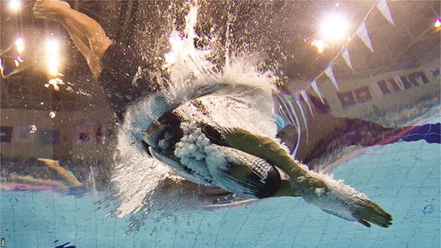 An unidentified swimmer dives into a pool