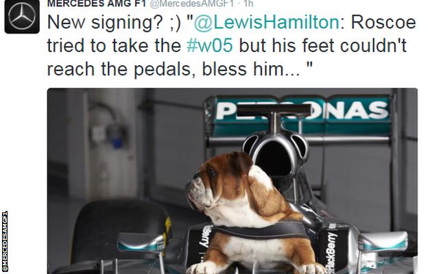 Mercedes tweet of Lewis Hamilton's dog