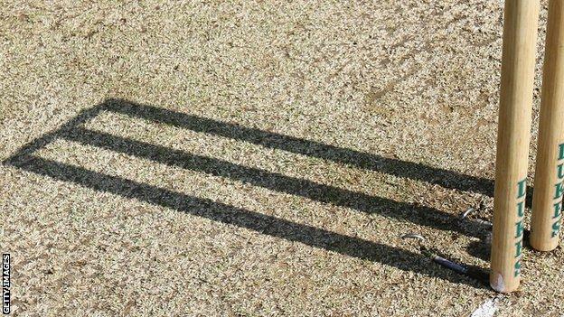 Cricket stumps