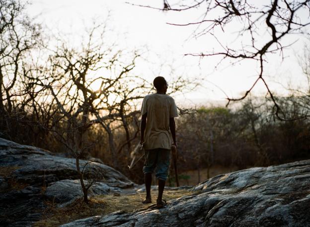 A Hadza man stands looking out across woodland as the sun rises