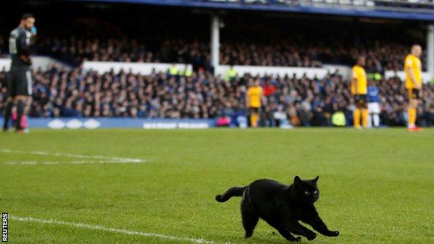 Everton cat Game held up for pitch invader as Wolves win BBC Sport