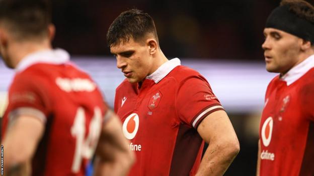 Autumn Nations Series: Wales to host Fiji, Australia and South Africa