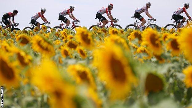 Riders in the 2019 Tour de France