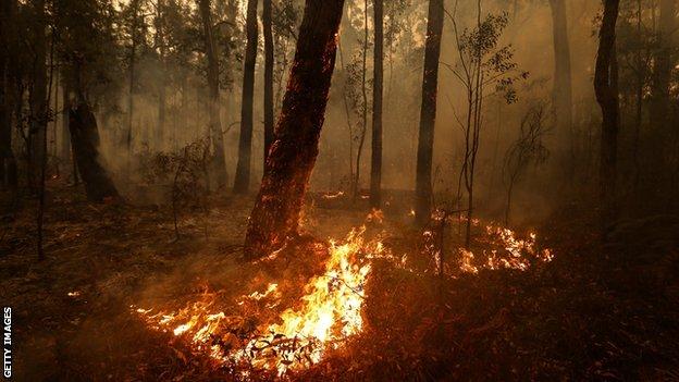 _110424823_bushfires.jpg