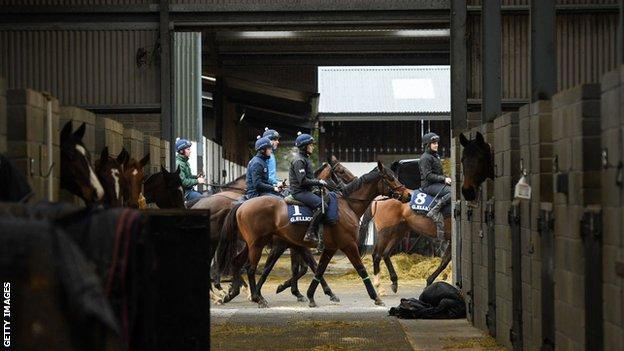 Tiger Roll parmi les chevaux dans les écuries de Gordon Elliott