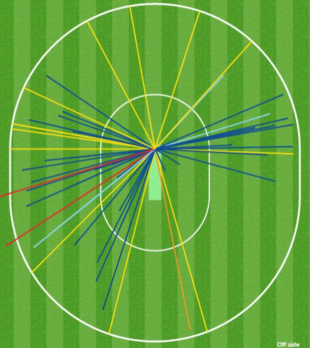 Moeen Ali wagon wheel