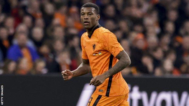 Georginio Wijnaldum gehörte zum Kader der Niederlande, der bei der Weltmeisterschaft 2014 Dritter wurde.