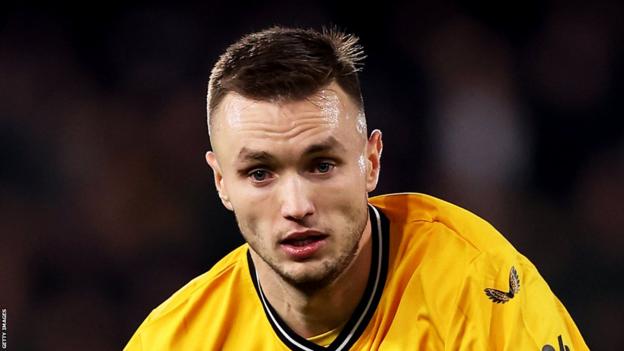 Wolves and Austria striker Sasa Kalajdzic