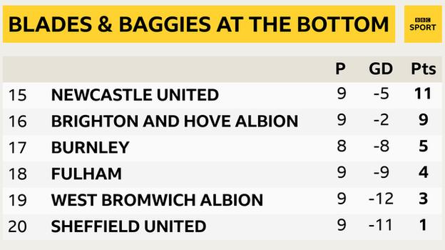 Snapshot of the bottom of the Premier League table: 15th Newcastle, 16th Brighton, 17th Burnley, 18th Fulham, 19th West Brom & 20th Sheff Utd