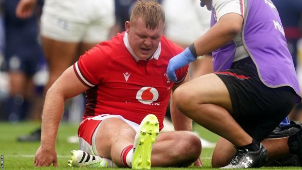 Rugby World Cup: Dewi Lake and Taine Plumtree not ruled out by Wales ...