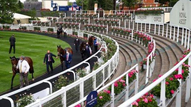 The parade ring steps. where thousands of spectators normally gather, were empty