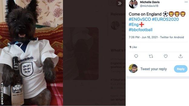 England v Scotland - how the internet reacted 1 A dog in an England shirt.