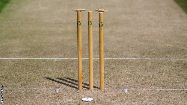 A view of some generic cricket stumps and a pitch