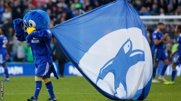 Cardiff City mascot