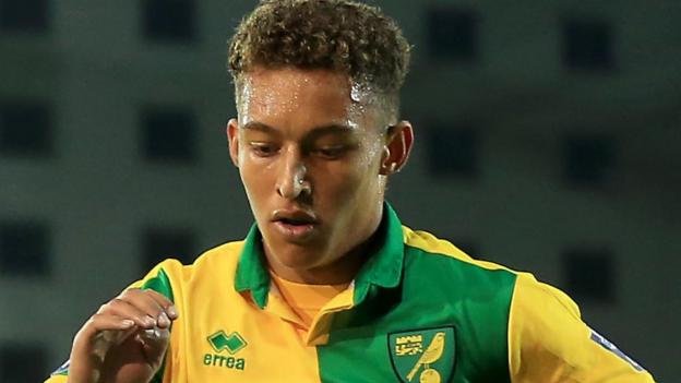 Norwich City full-back Louis Ramsay joins Woking on season-long loan - BBC Sport
