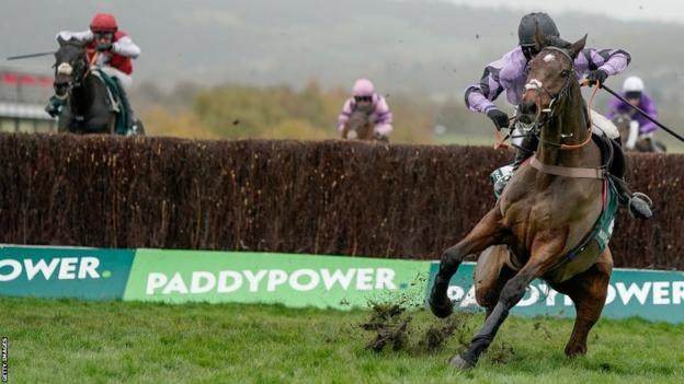 Stage Star stumbles after the last fence at the Paddy Power Gold Cup before recovering to win