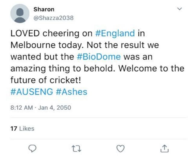 Imagined tweet from a cricket fan