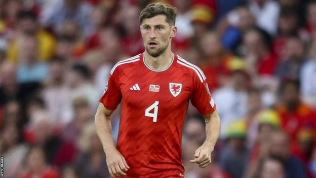 Video: Joe Rodon not happy with Ben Davies during Wales team photo