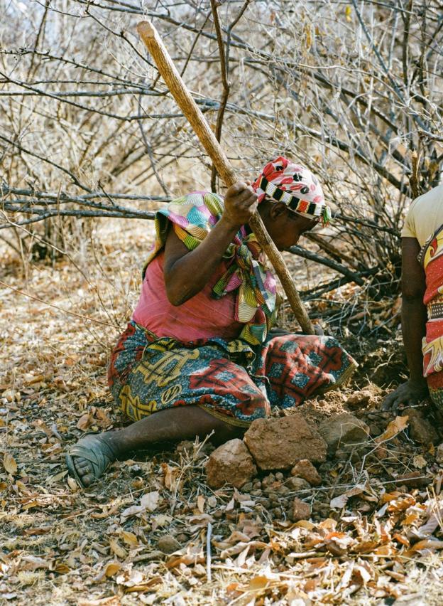 A woman forages for food