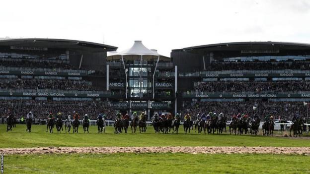 Runners pictured in a Grand National at Aintree