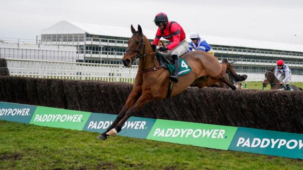 Ahoy Senor wins on Cheltenham Festival Trials Day