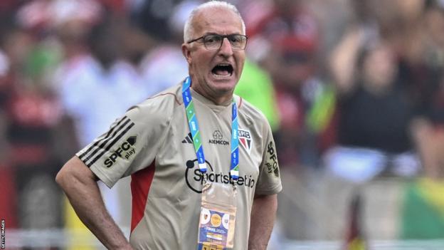 New Brazil manager: Dorival Jr leaves Sao Paulo to take job - BBC Sport