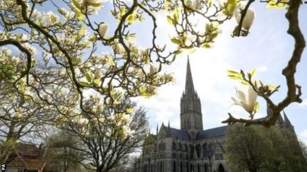 Sundrenched Salisbury Cathedral pictured from beneath a magnolia in bloom