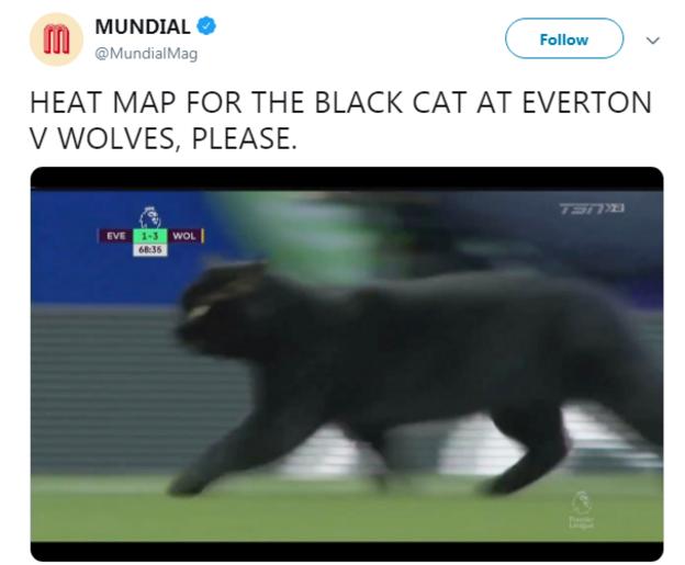 Everton cat Game held up for pitch invader as Wolves win BBC Sport