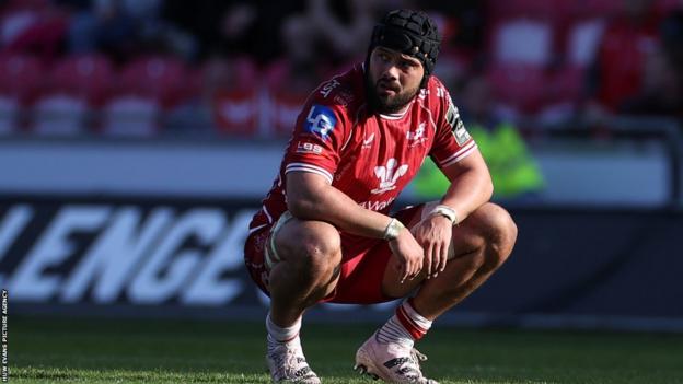 Josh Macleod has played two internationals for Wales and made 112 appearances for Scarlets since his debut in 2015