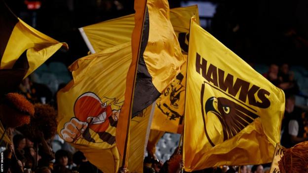 Hawthorn: 'No adverse findings' in racism claims at Australian Football