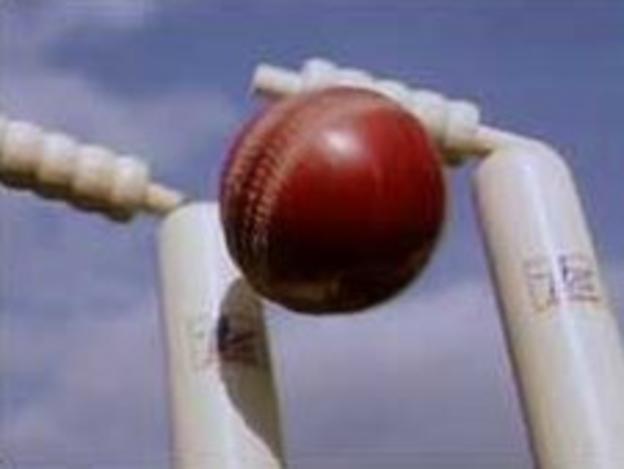 Cricket