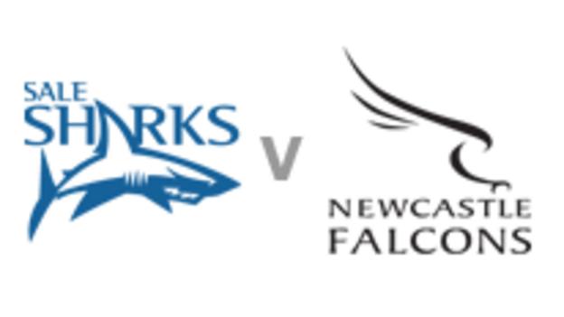 Sale v Newcastle