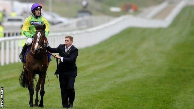 Kauto Star bị loại khỏi sân sau khi bị kéo lên trong Cúp vàng Cheltenham năm 2012