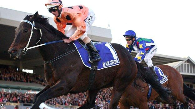 Black Caviar