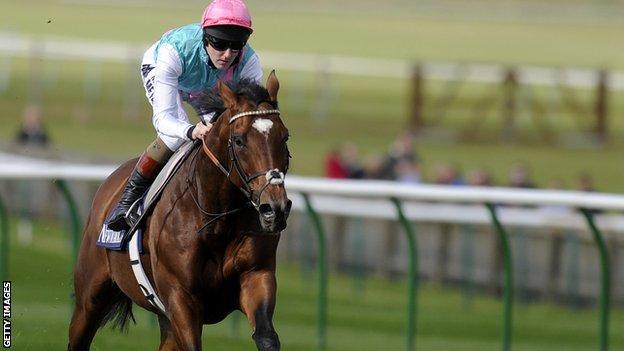 Frankel in racecourse gallop at Newmarket
