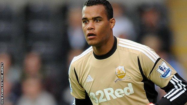 Swansea City goalkeeper Michel Vorm